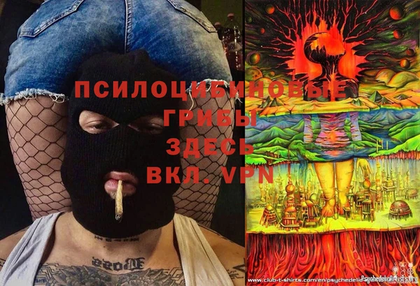 мдпв Вяземский