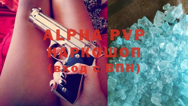 гидра Вязьма