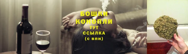 мдпв Вяземский
