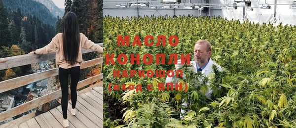 мдпв Вяземский