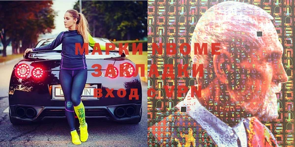 гидра Вязьма