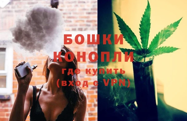 мдпв Вяземский