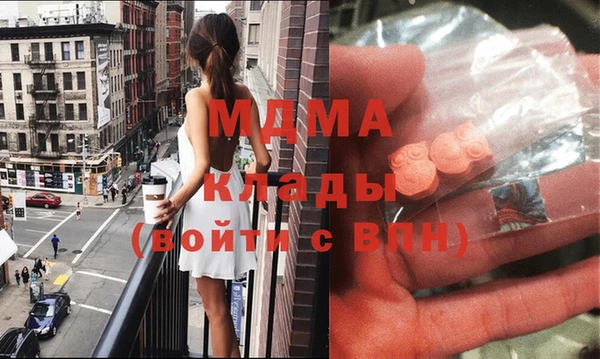 гидра Вязьма
