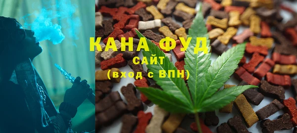 мдпв Вяземский